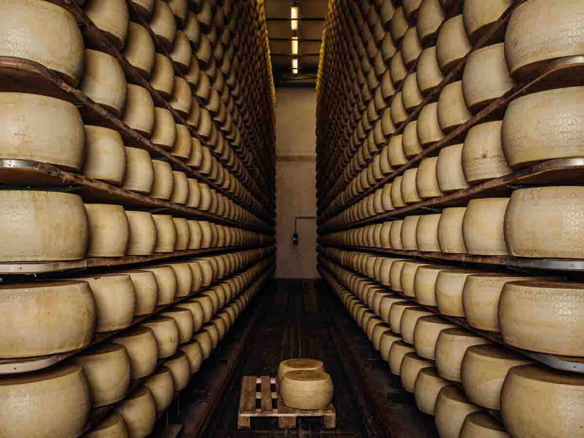 grana_padano_insieme_magazine_photographs_farming_dairy-10 grana_padano_insieme_magazine_photographs_farming_dairy