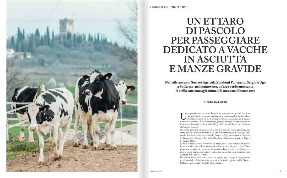 grana_padano_insieme_magazine_photographs_farming_dairy grana_padano_insieme_magazine_photographs_farming_dairy
