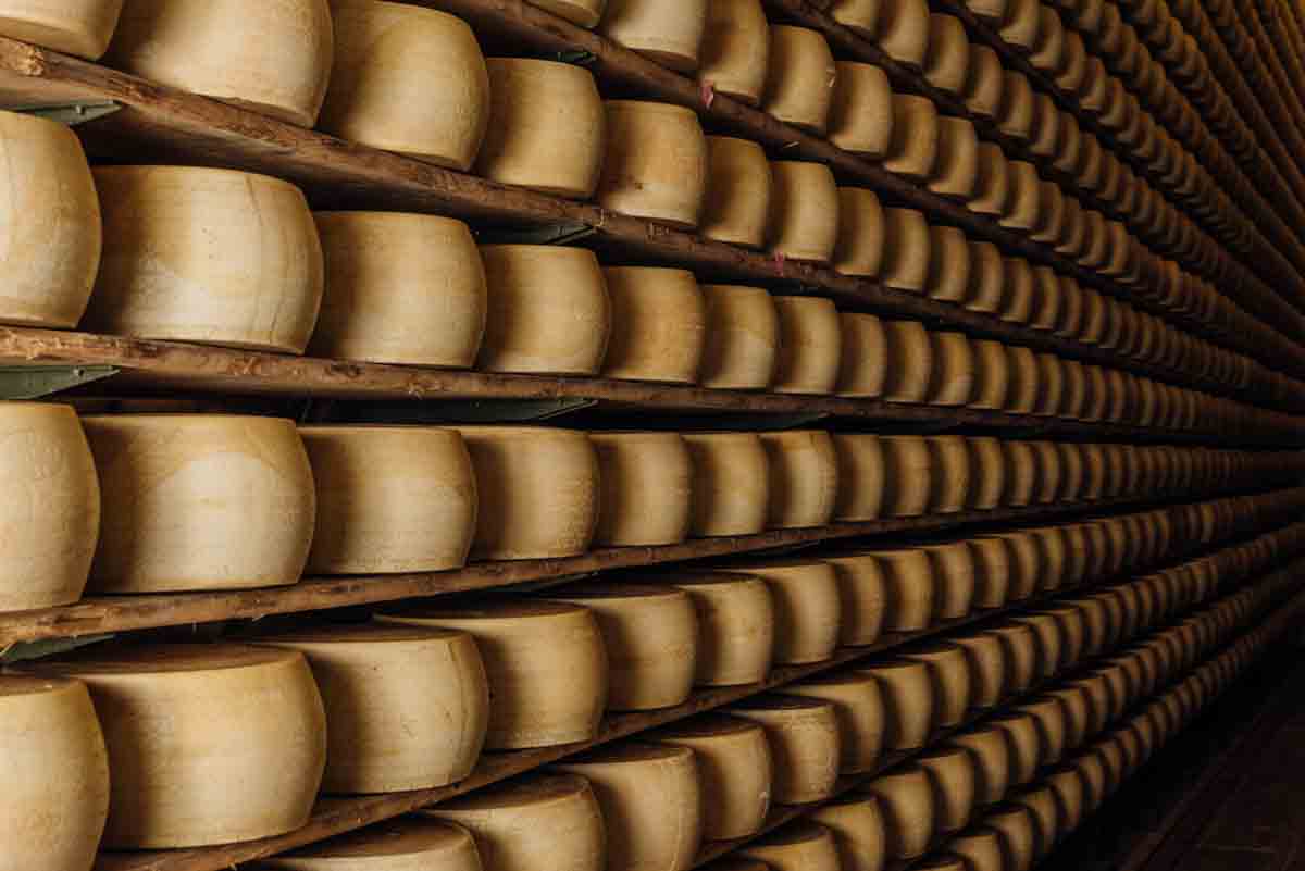 grana_padano_insieme_magazine_photographs_farming_dairy-11 grana_padano_insieme_magazine_photographs_farming_dairy