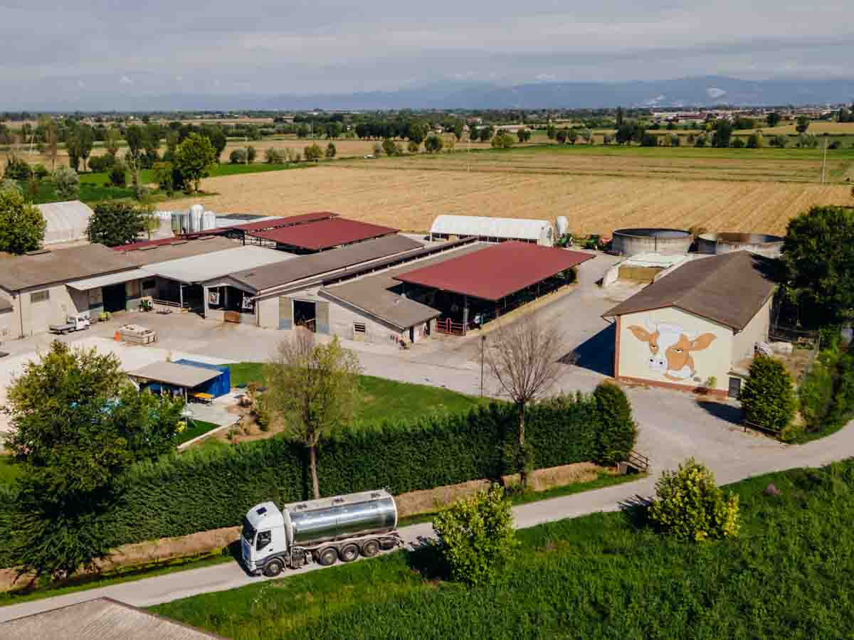 grana_padano_insieme_magazine_photographs_farming_dairy-16 grana_padano_insieme_magazine_photographs_farming_dairy