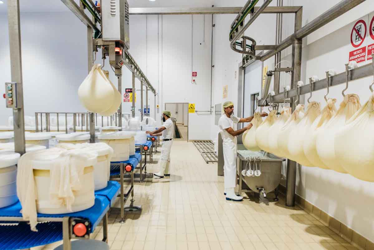 grana_padano_insieme_magazine_photographs_farming_dairy-19 grana_padano_insieme_magazine_photographs_farming_dairy
