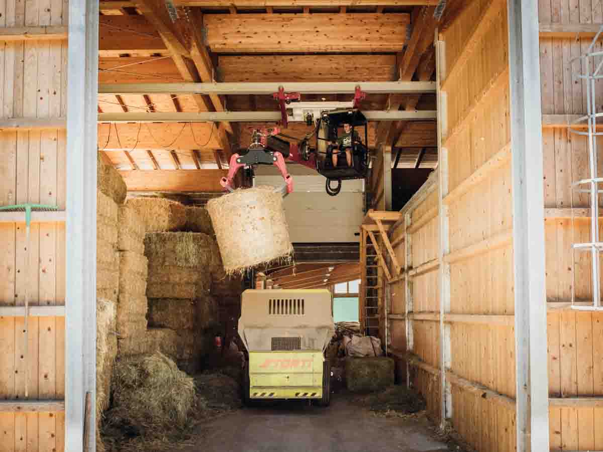 grana_padano_insieme_magazine_photographs_farming_dairy-2 grana_padano_insieme_magazine_photographs_farming_dairy