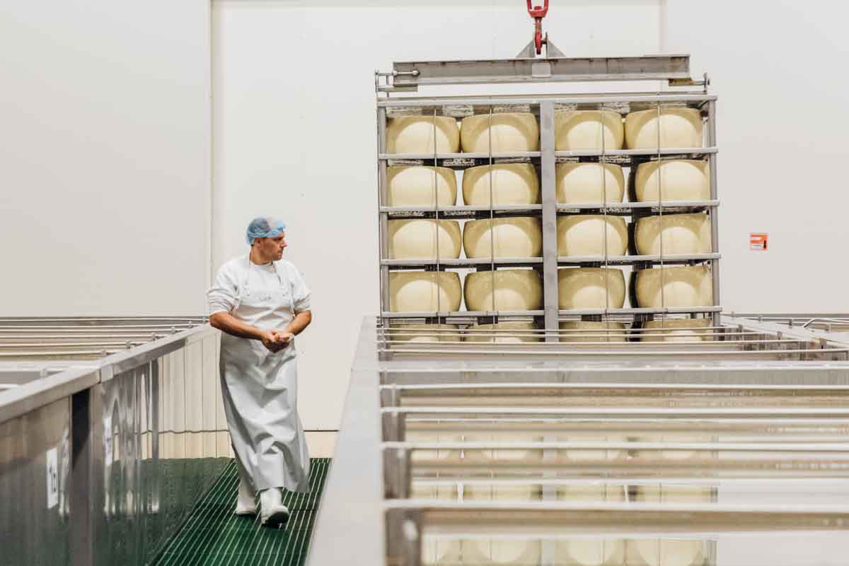 grana_padano_insieme_magazine_photographs_farming_dairy-23 grana_padano_insieme_magazine_photographs_farming_dairy