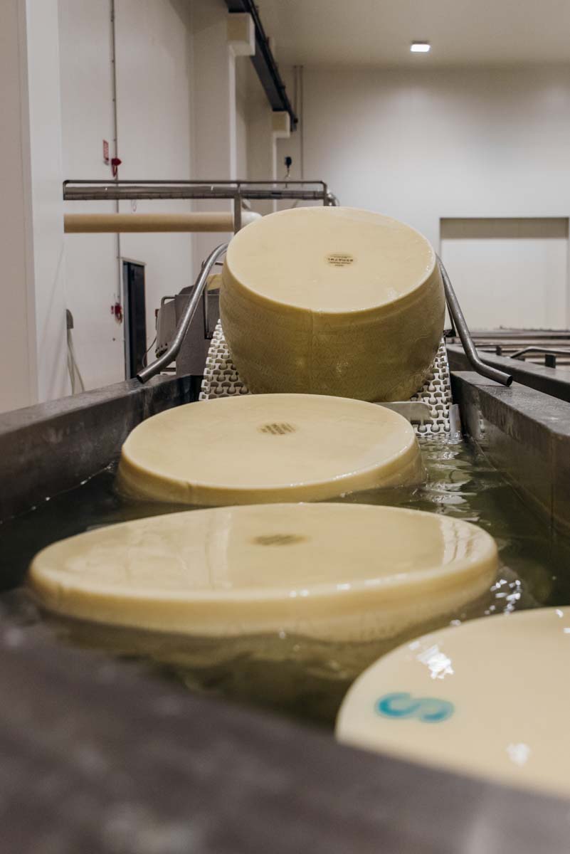grana_padano_insieme_magazine_photographs_farming_dairy-24 grana_padano_insieme_magazine_photographs_farming_dairy