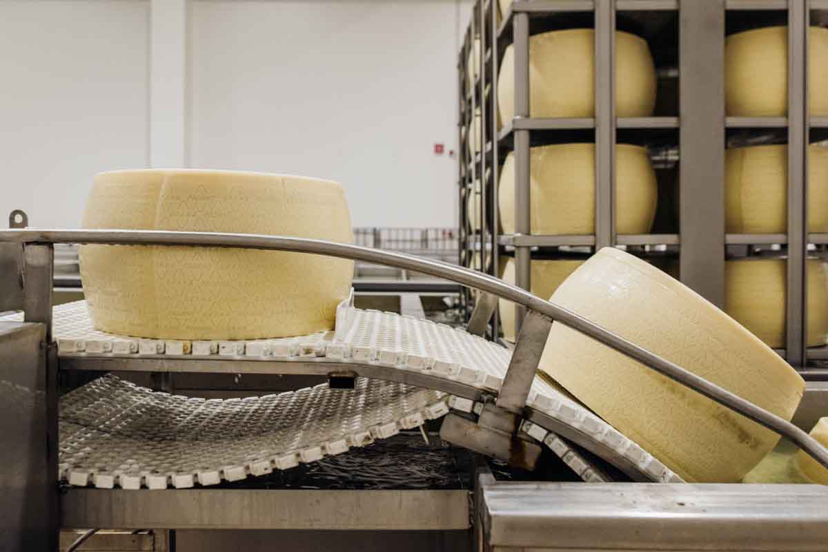 grana_padano_insieme_magazine_photographs_farming_dairy-25 grana_padano_insieme_magazine_photographs_farming_dairy