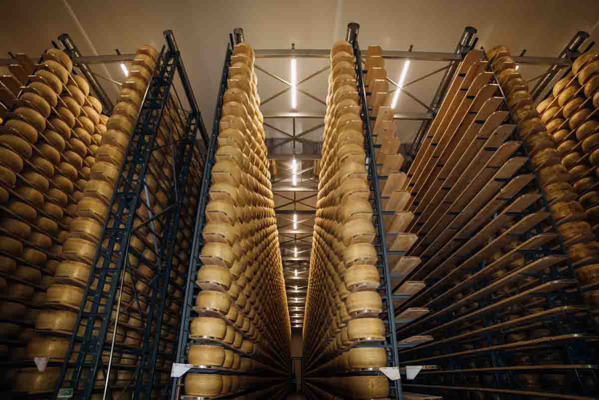 grana_padano_insieme_magazine_photographs_farming_dairy-28 grana_padano_insieme_magazine_photographs_farming_dairy