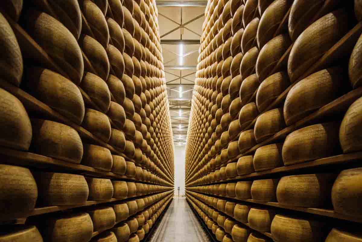 grana_padano_insieme_magazine_photographs_farming_dairy-29 grana_padano_insieme_magazine_photographs_farming_dairy