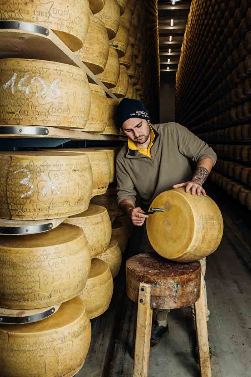 grana_padano_insieme_magazine_photographs_farming_dairy-31 grana_padano_insieme_magazine_photographs_farming_dairy
