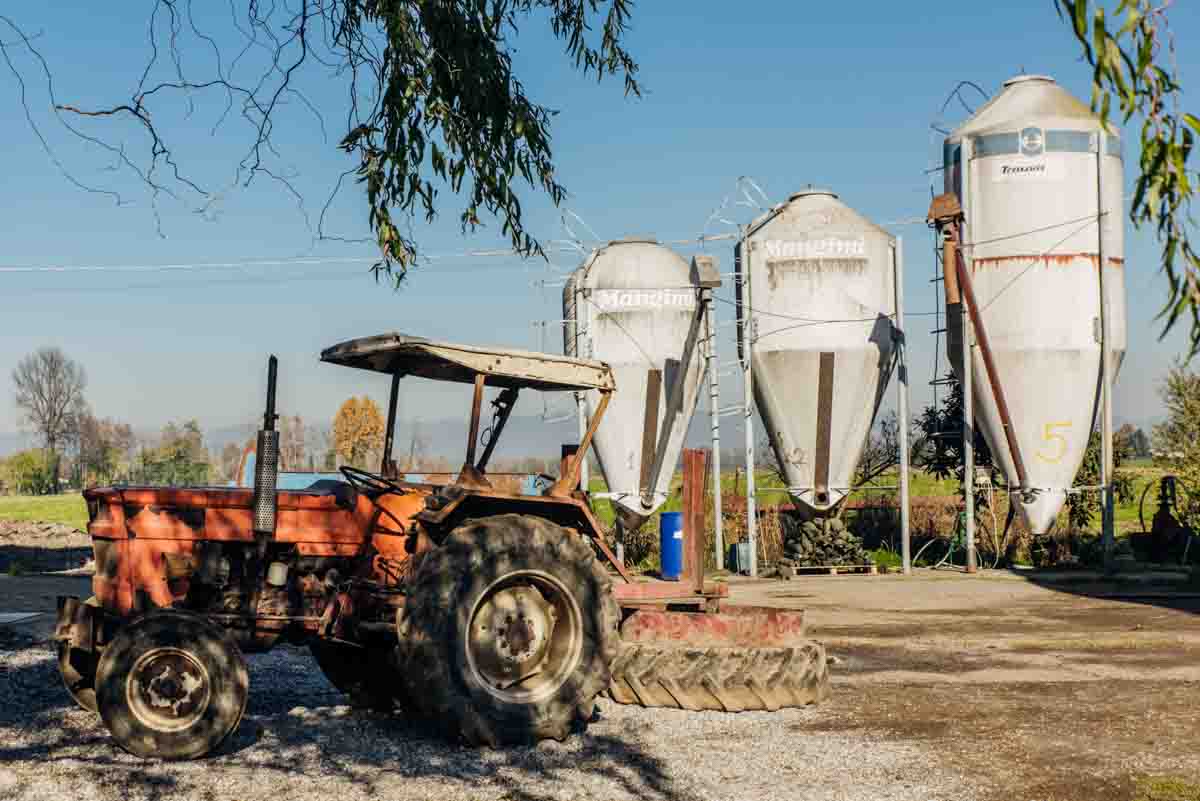 grana_padano_insieme_magazine_photographs_farming_dairy-32 grana_padano_insieme_magazine_photographs_farming_dairy