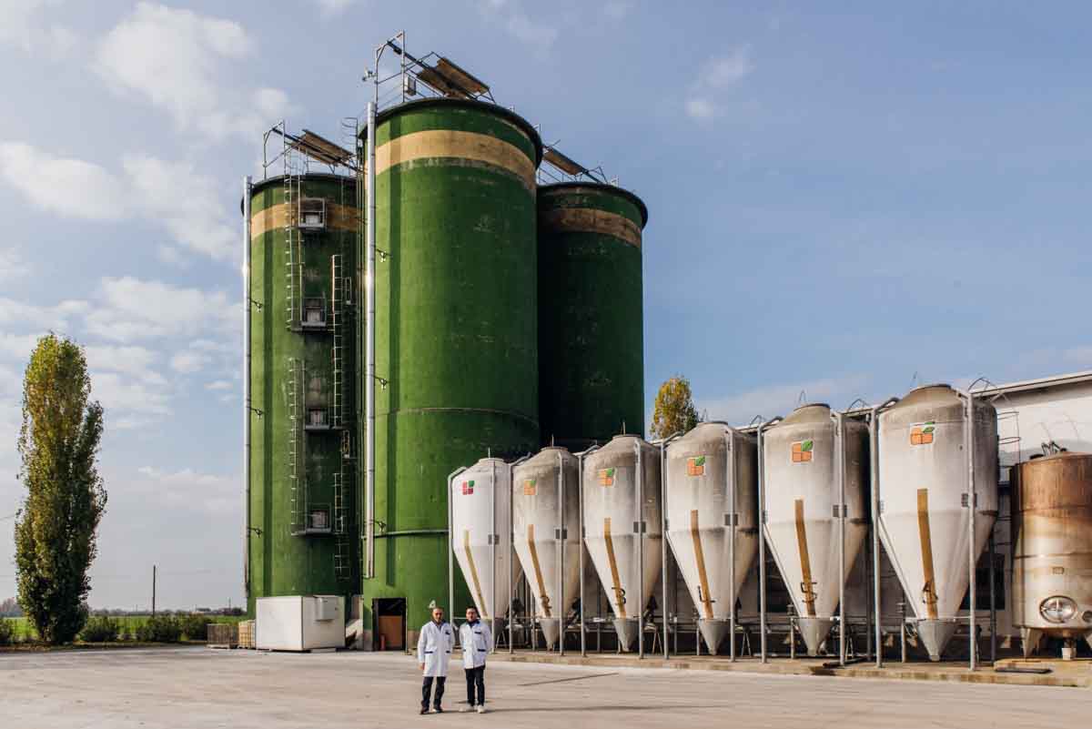 grana_padano_insieme_magazine_photographs_farming_dairy-36 grana_padano_insieme_magazine_photographs_farming_dairy