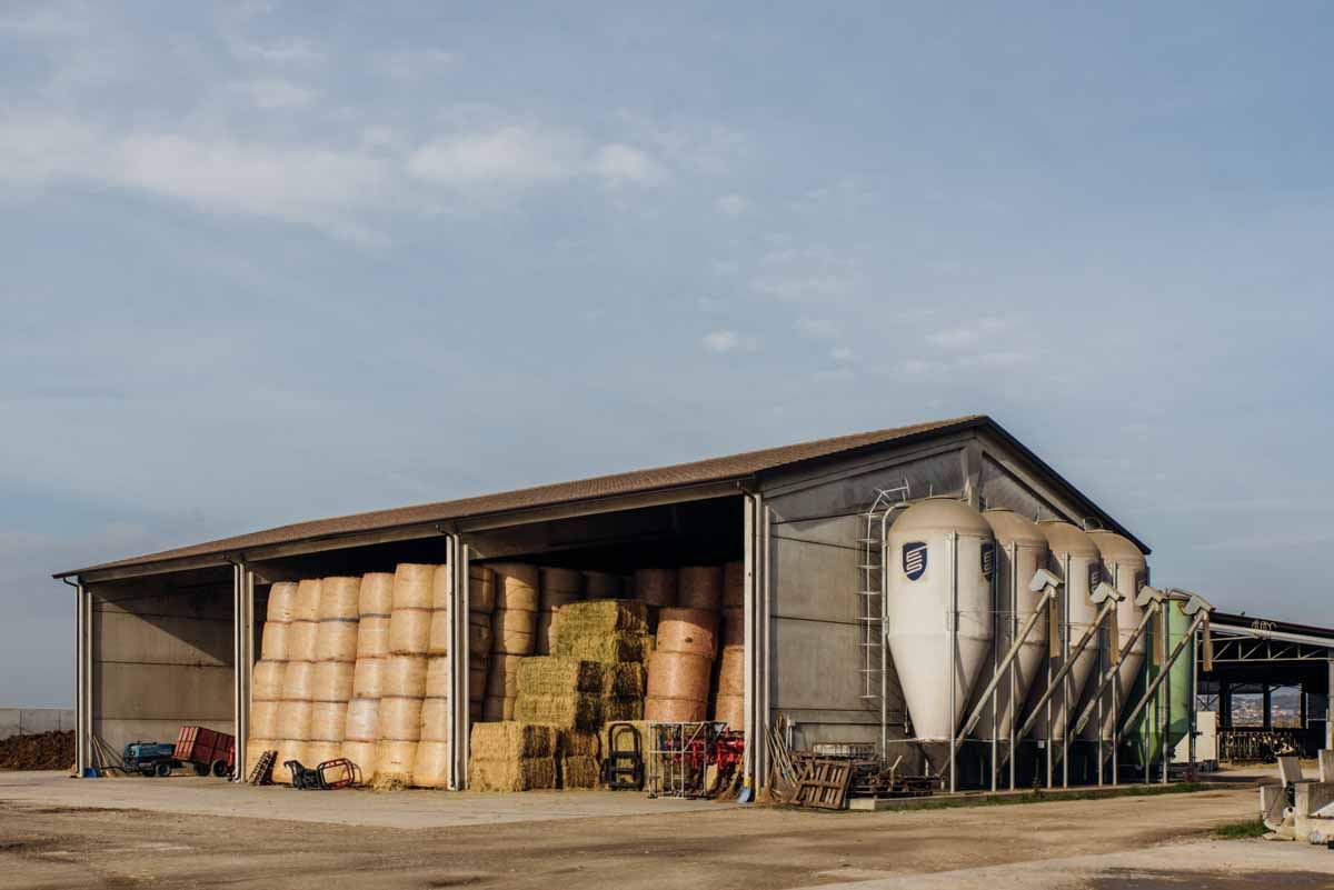 grana_padano_insieme_magazine_photographs_farming_dairy-38 grana_padano_insieme_magazine_photographs_farming_dairy