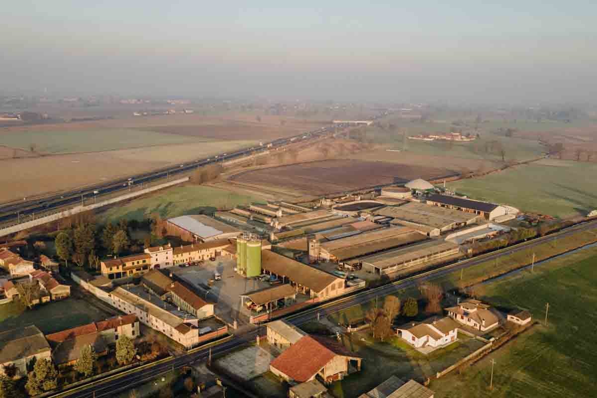 grana_padano_insieme_magazine_photographs_farming_dairy-42 grana_padano_insieme_magazine_photographs_farming_dairy