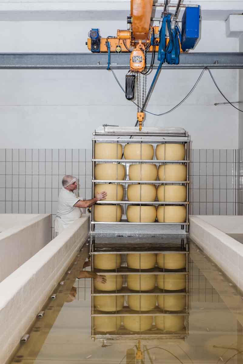grana_padano_insieme_magazine_photographs_farming_dairy-43 grana_padano_insieme_magazine_photographs_farming_dairy