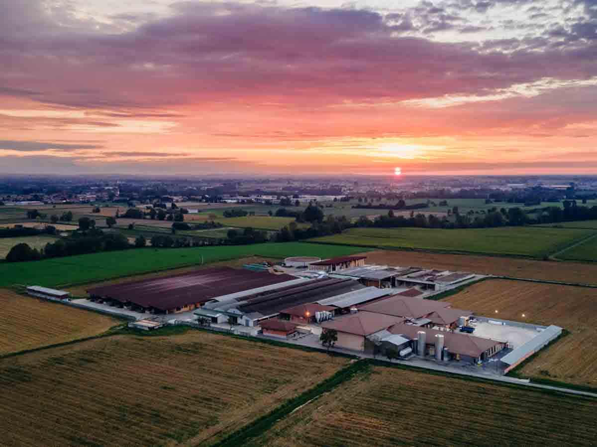 grana_padano_insieme_magazine_photographs_farming_dairy-5 grana_padano_insieme_magazine_photographs_farming_dairy