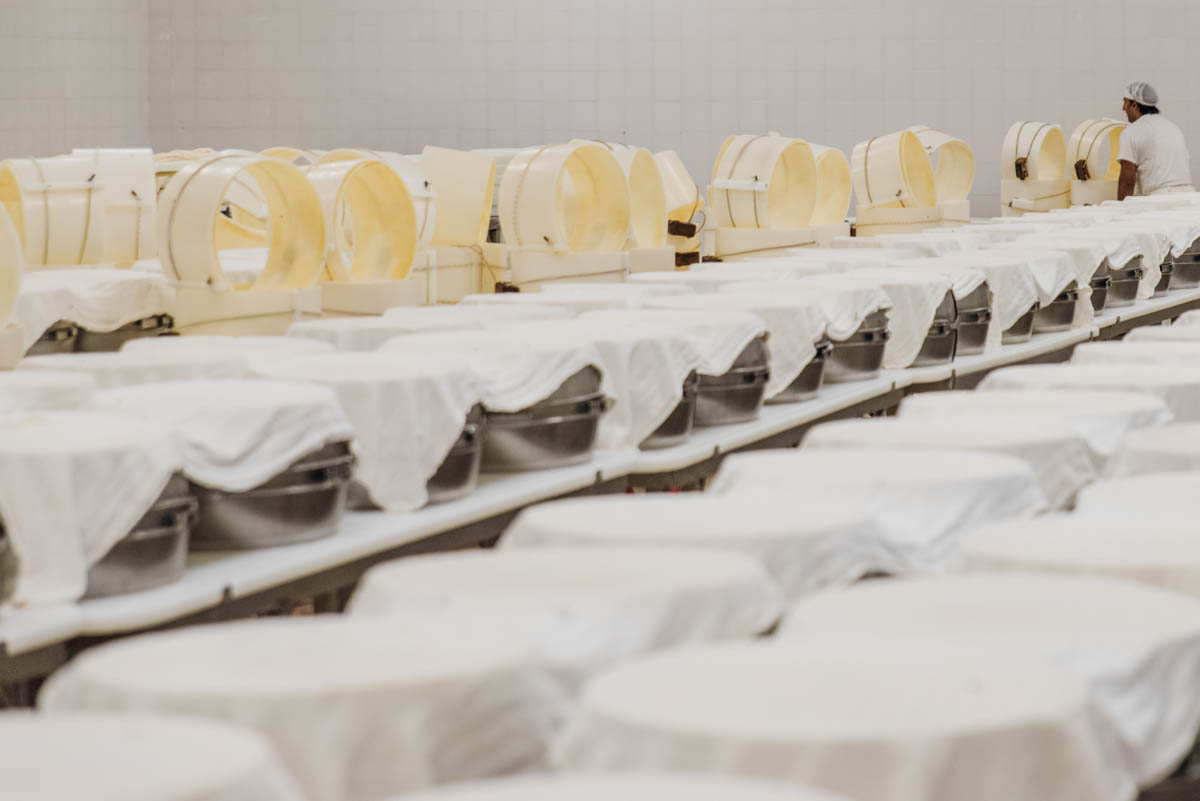 grana_padano_insieme_magazine_photographs_farming_dairy-6 grana_padano_insieme_magazine_photographs_farming_dairy