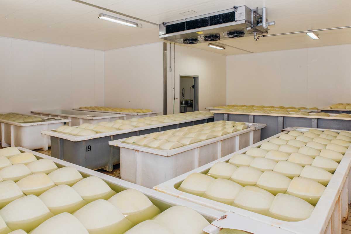 grana_padano_insieme_magazine_photographs_farming_dairy-65 grana_padano_insieme_magazine_photographs_farming_dairy