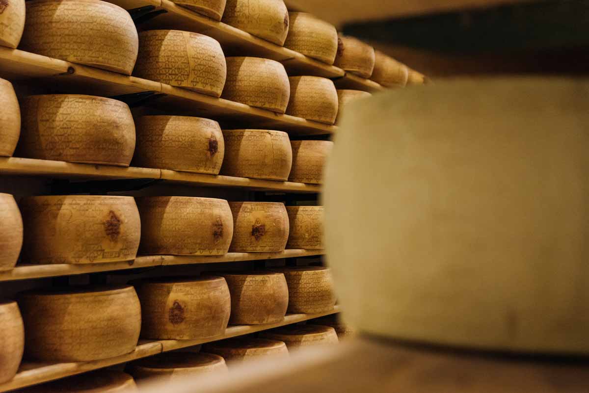 grana_padano_insieme_magazine_photographs_farming_dairy-68 grana_padano_insieme_magazine_photographs_farming_dairy