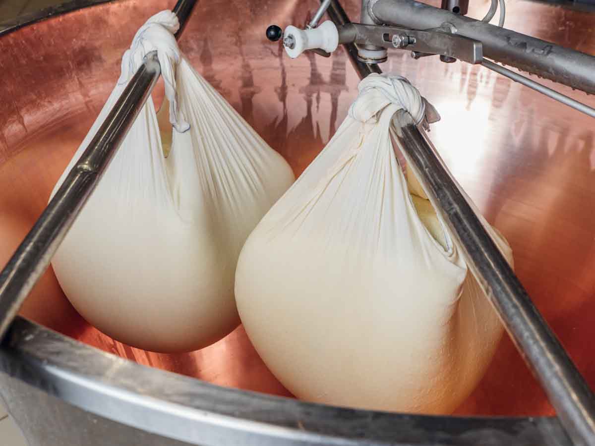 grana_padano_insieme_magazine_photographs_farming_dairy-7 grana_padano_insieme_magazine_photographs_farming_dairy