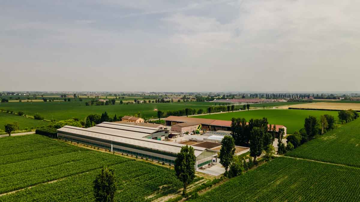 grana_padano_insieme_magazine_photographs_farming_dairy-77 grana_padano_insieme_magazine_photographs_farming_dairy