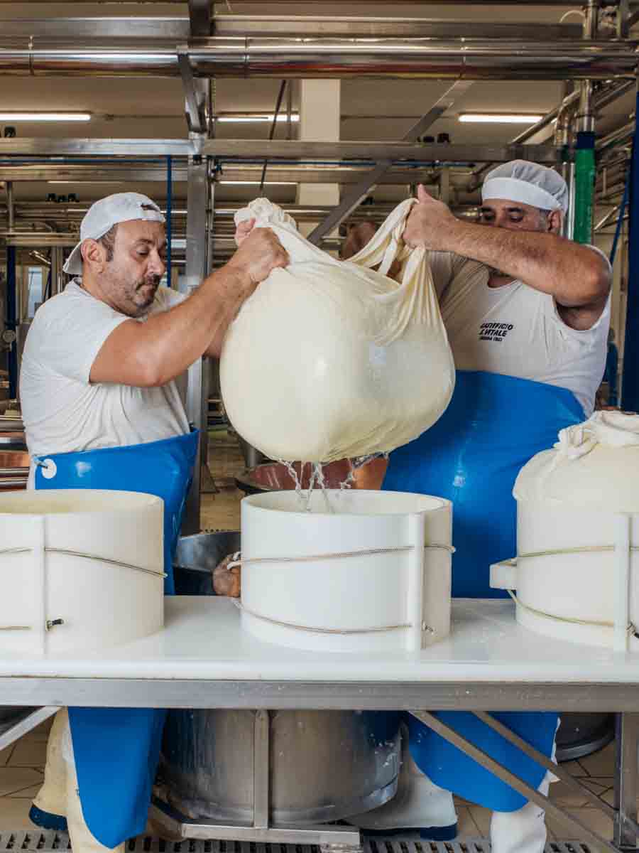 grana_padano_insieme_magazine_photographs_farming_dairy-8 grana_padano_insieme_magazine_photographs_farming_dairy