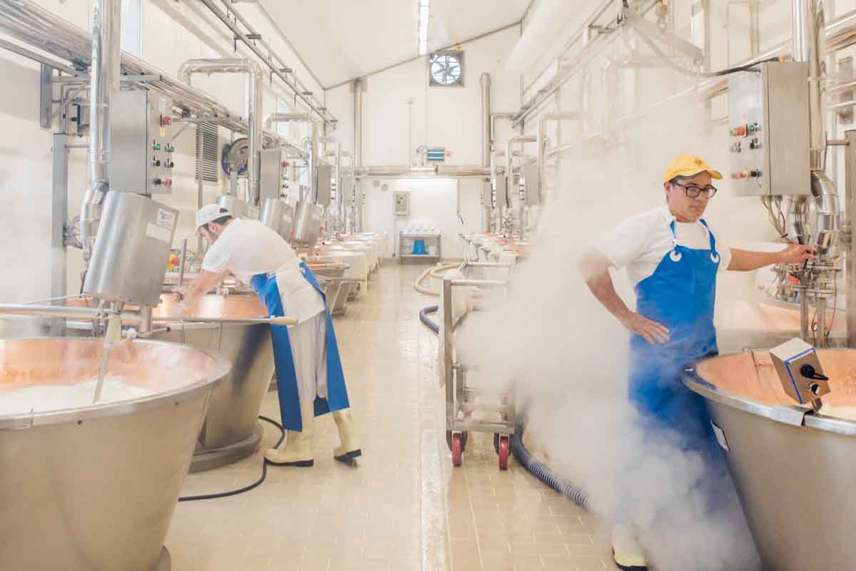 grana_padano_insieme_magazine_photographs_farming_dairy-80 grana_padano_insieme_magazine_photographs_farming_dairy