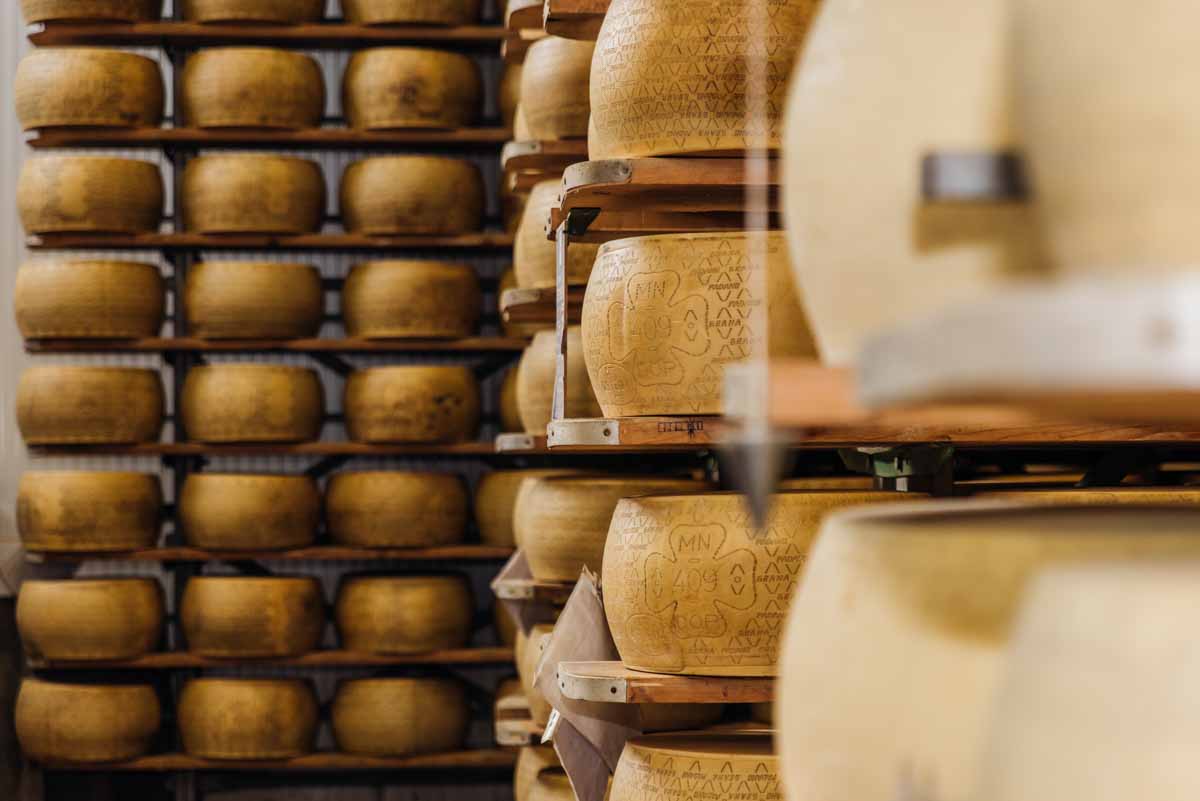 grana_padano_insieme_magazine_photographs_farming_dairy-83 grana_padano_insieme_magazine_photographs_farming_dairy