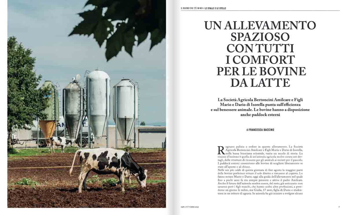 grana_padano_insieme_magazine_photographs_farming_dairy grana_padano_insieme_magazine_photographs_farming_dairy