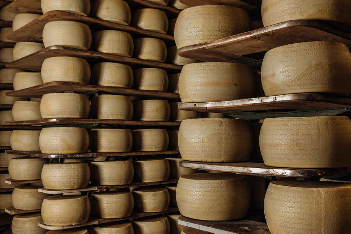grana_padano_insieme_magazine_photographs_farming_dairy-9 grana_padano_insieme_magazine_photographs_farming_dairy