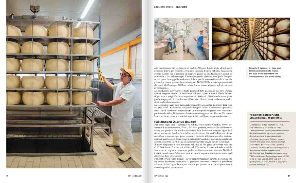 grana_padano_insieme_rivista_fotografie_caseificio_allevamento