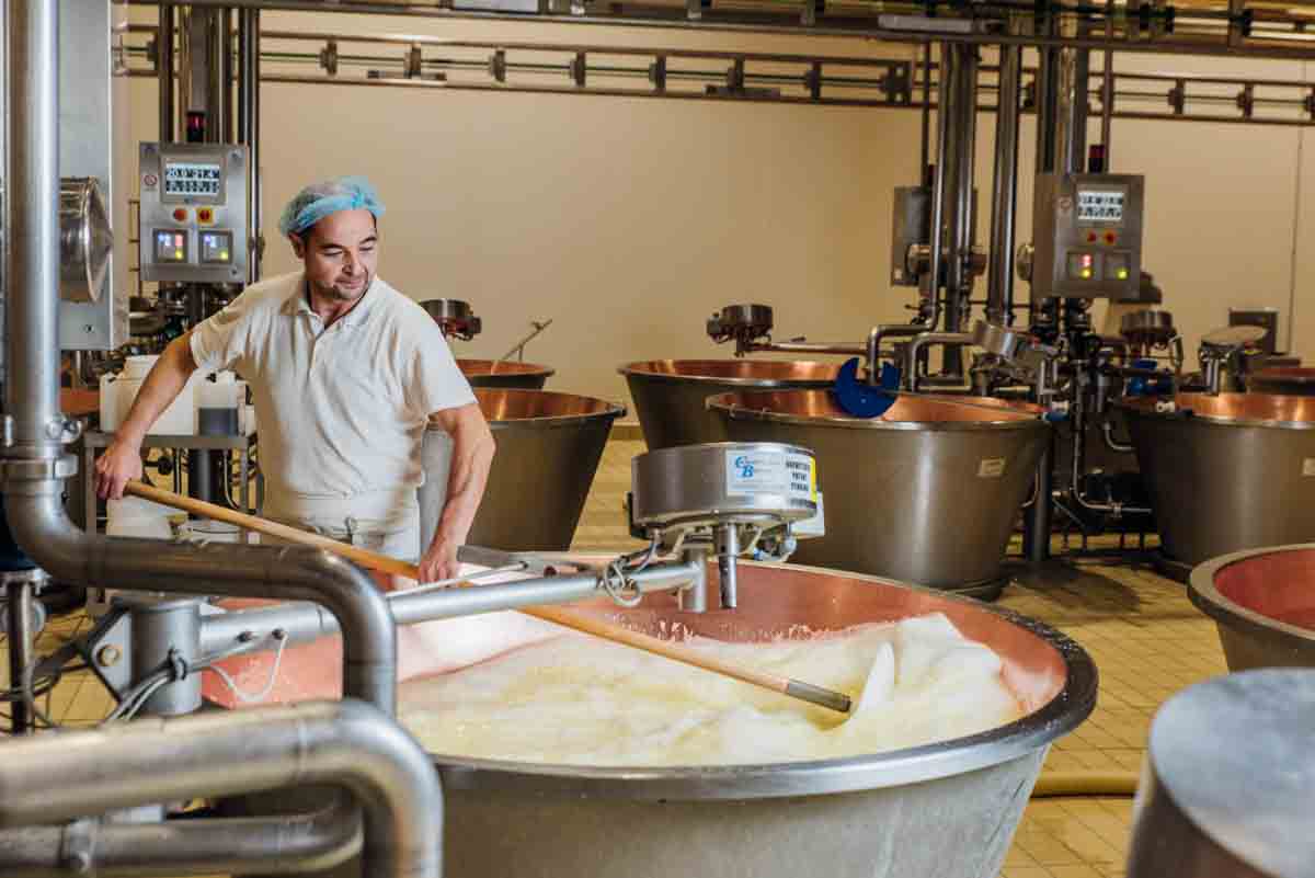 grana_padano_insieme_rivista_fotografie_caseificio_allevamento