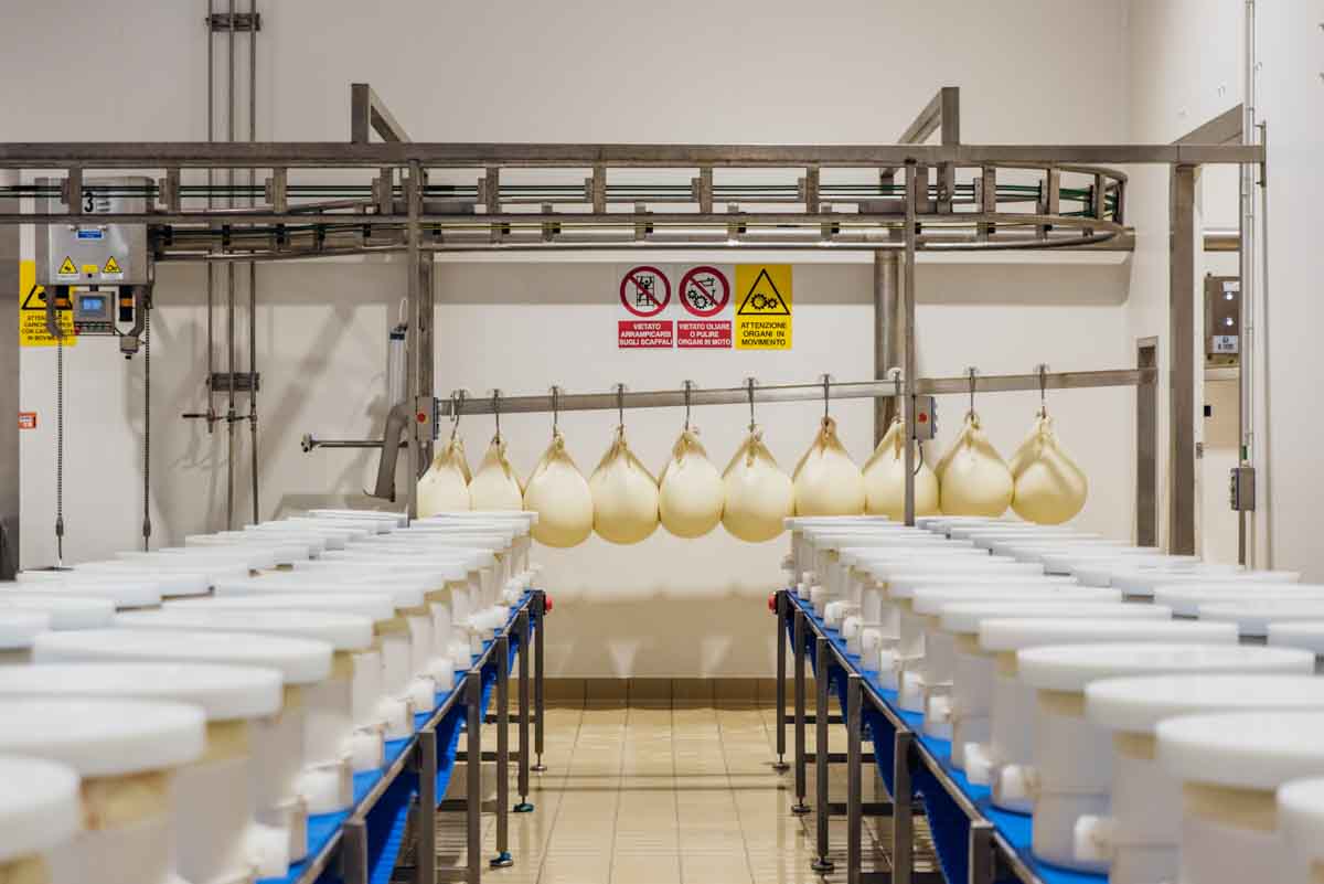grana_padano_insieme_rivista_fotografie_caseificio_allevamento