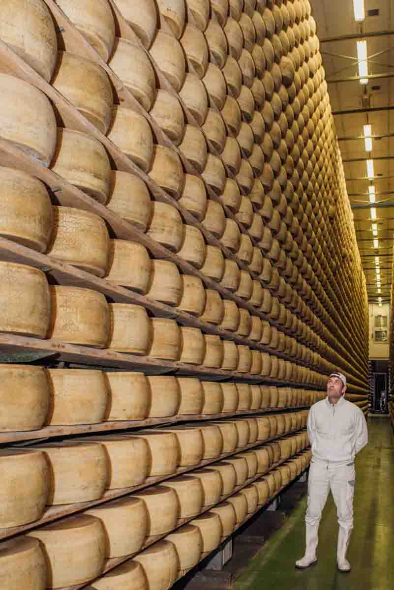 grana_padano_insieme_rivista_fotografie_caseificio_allevamento