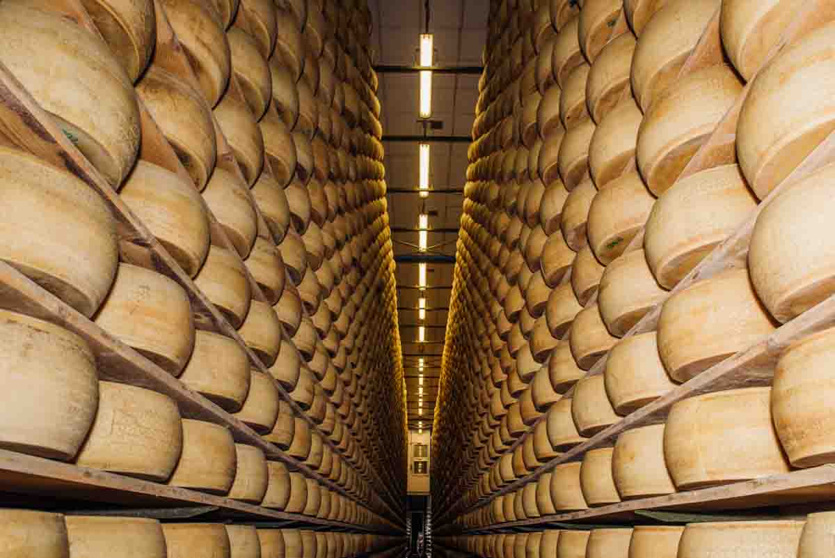 grana_padano_insieme_rivista_fotografie_caseificio_allevamento
