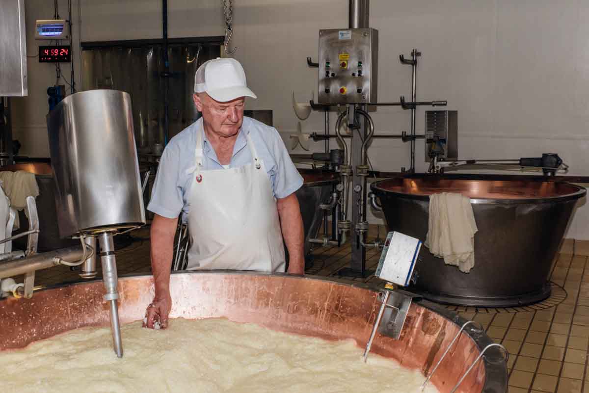 grana_padano_insieme_rivista_fotografie_caseificio_allevamento