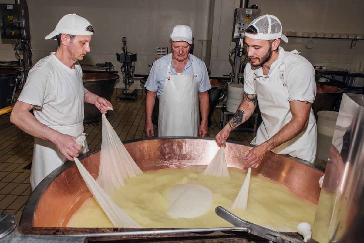 grana_padano_insieme_rivista_fotografie_caseificio_allevamento