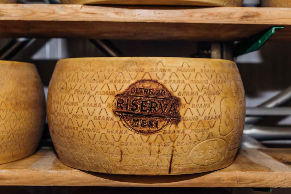 grana_padano_insieme_rivista_fotografie_caseificio_allevamento