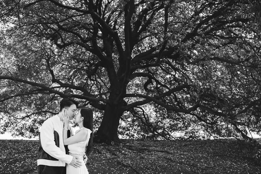 Boy And Girl Tenderly Embrace Each Other Under A Centuries Old Tree in villa melzi bellagio