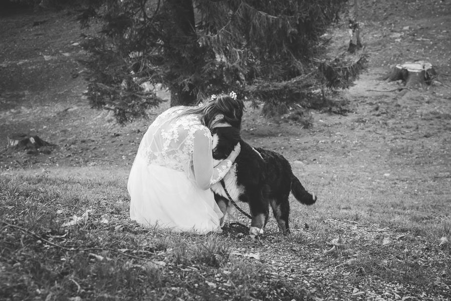 The Bride Hug His Tired Dog 